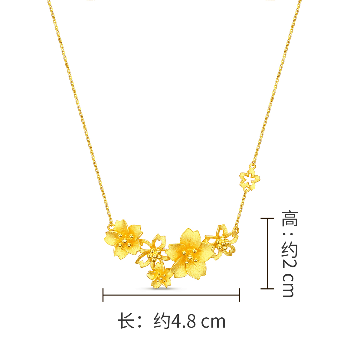 f217515-cct.jpg